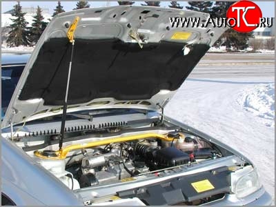2 599 р. Упор капота Sport  Лада 2113 - 2115  с доставкой в г. Кемерово