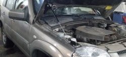 Газовый упор капота Tuning-Sport Chevrolet Niva  2123 (2009-2020), Лада 2123 (Нива Шевроле) (2002-2021)