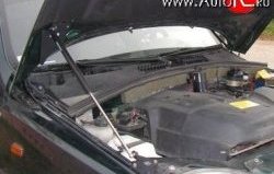 Упор капота Sport Chevrolet Niva  2123 (2009-2020), Лада 2123 (Нива Шевроле) (2002-2021)