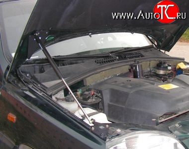 2 049 р. Упор капота Sport  Chevrolet Niva  2123 (2009-2020), Лада 2123 (Нива Шевроле) (2002-2021)  с доставкой в г. Кемерово