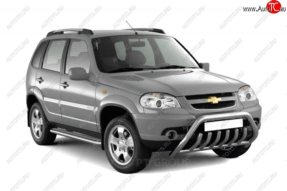 5 789 р. Рейлинги Petroil Tuning Комфорт  Chevrolet Niva  2123 (2009-2020), Лада 2123 (Нива Шевроле) (2002-2021), Лада Нива Трэвел (2021-2025) (Серебристый муар)  с доставкой в г. Кемерово