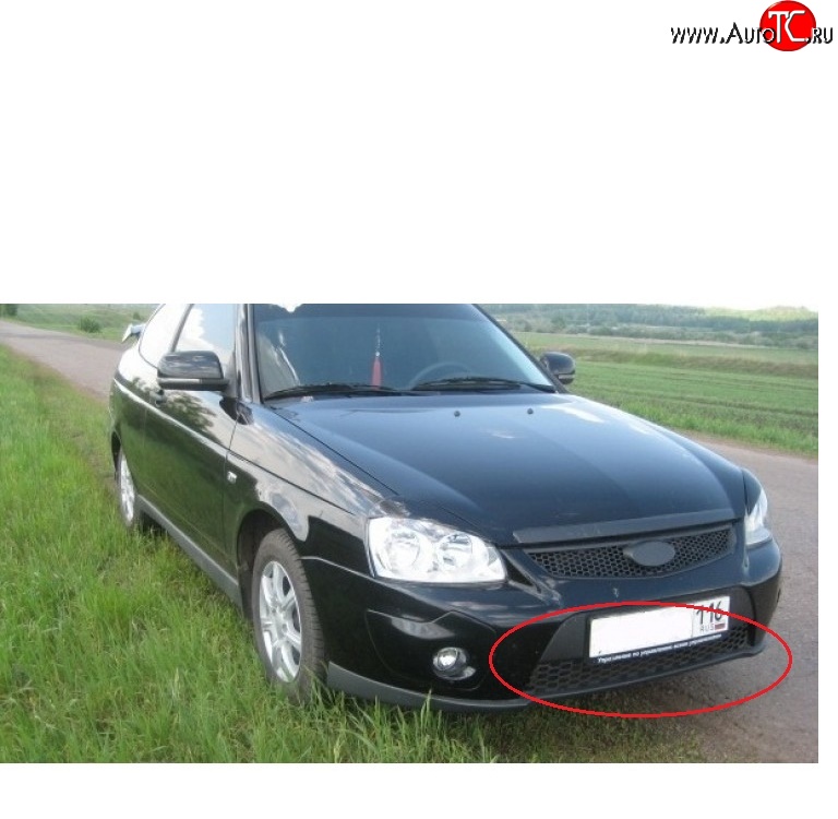 419 р. Решетка бампера 21728 Priora Sport нижняя Лада Приора 2170 седан дорестайлинг (2007-2014)  с доставкой в г. Кемерово