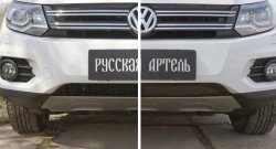 1 949 р. Защитная сетка решетки переднего бампера (Track & Field) РА  Volkswagen Tiguan  NF (2011-2017) рестайлинг  с доставкой в г. Кемерово. Увеличить фотографию 4