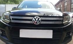 2 099 р. Сетка на бампер Sport&Style Russtal (черная) Volkswagen Tiguan NF рестайлинг (2011-2017)  с доставкой в г. Кемерово. Увеличить фотографию 3