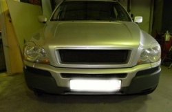 3 449 р. Реснички на фары INDIVIDUAL Volvo XC90 C 1-ый рестайлинг (2006-2009) (Неокрашенные)  с доставкой в г. Кемерово. Увеличить фотографию 3